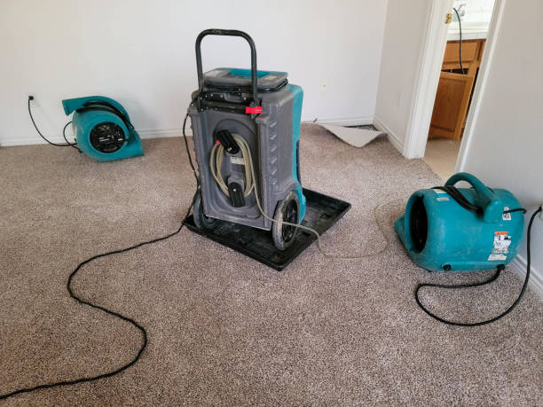 Best Water damage contractors near me  in Mford, IL