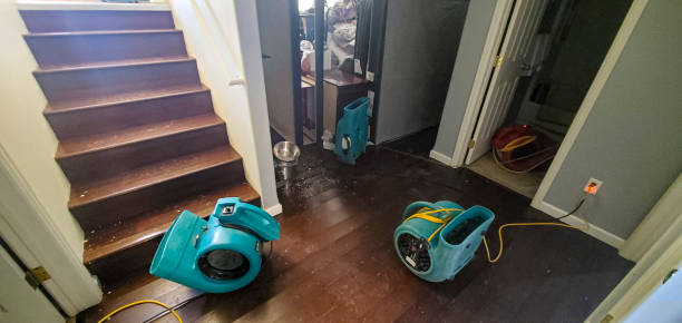 Best Mold removal after water damage  in Mford, IL