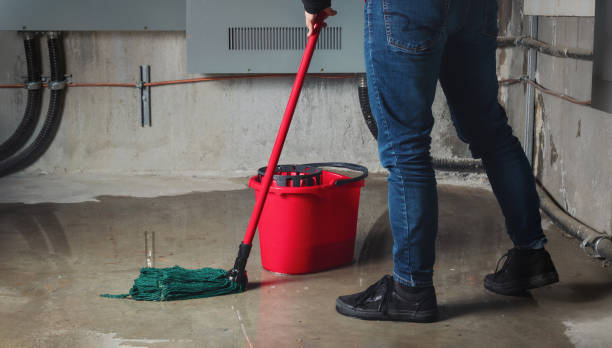 Best Water damage restoration near me  in Mford, IL