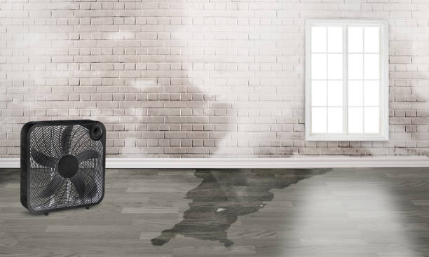 Best Water damage restoration cost  in Mford, IL
