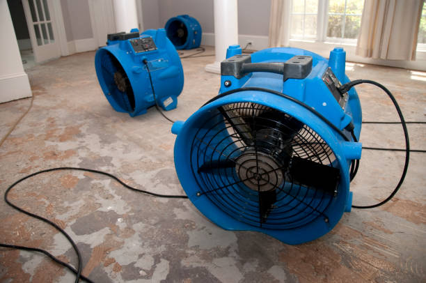 Best Carpet water damage restoration  in Mford, IL