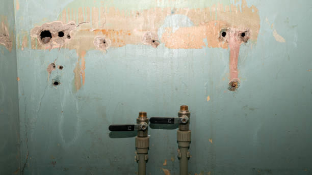 Best Commercial water damage restoration  in Mford, IL