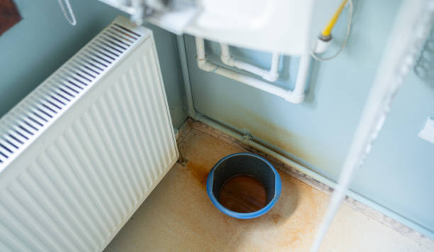 Best Residential water damage restoration  in Mford, IL