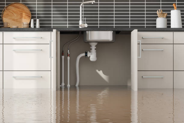  Mford, IL Water damage restoration Pros