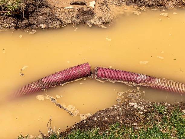 Best 24-hour water damage restoration  in Mford, IL