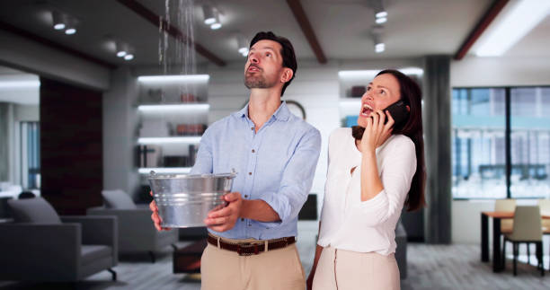 Best Water damage restoration mold remediation  in Mford, IL